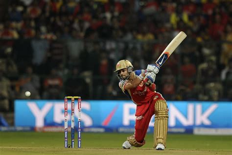 ipl live betting